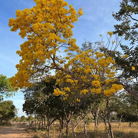 Fervedouro E Pousada Por Enquanto Sao Felix do Tocantins Dış mekan fotoğraf